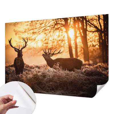 Papel de parede autocolante para quarto com estampa de veados pela manhã