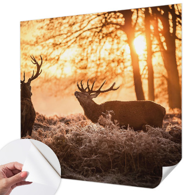 Papel de parede autocolante para quarto Veados pela manhã