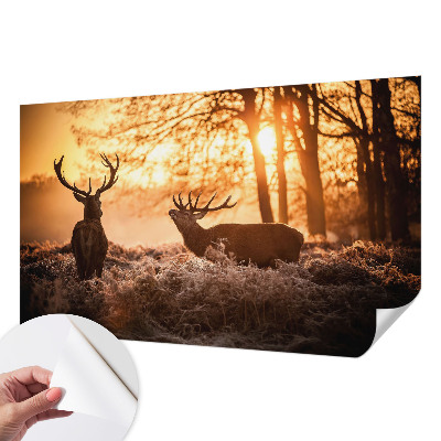 Papel de parede autocolante para quarto com estampa de veados pela manhã