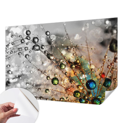 Autocolante de parede fotográfico Eu orvoo joias