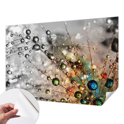 Autocolante de parede fotográfico Eu orvoo joias