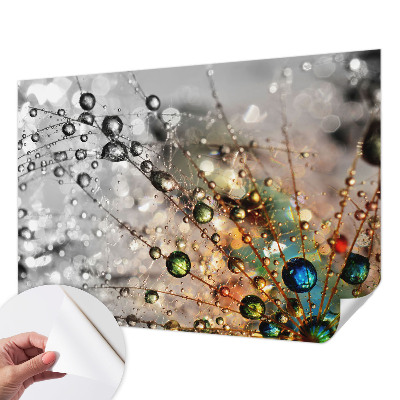 Autocolante de parede fotográfico Eu orvoo joias