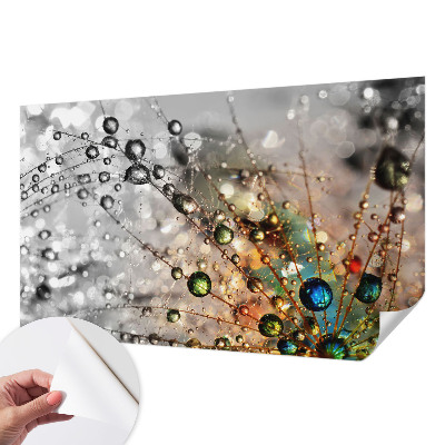 Autocolante de parede fotográfico Eu orvoo joias