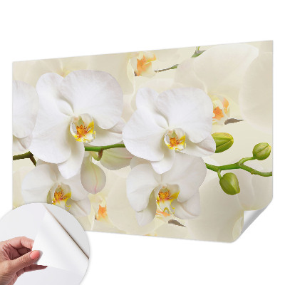 Papel de parede autocolante com estampa de riqueza floral
