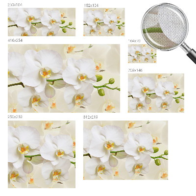 Papel de parede autocolante com estampa de riqueza floral