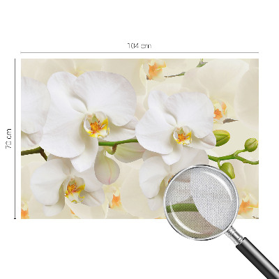 Papel de parede autocolante com estampa de riqueza floral