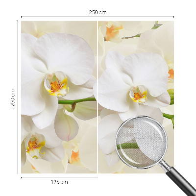 Papel de parede autocolante com estampa de riqueza floral