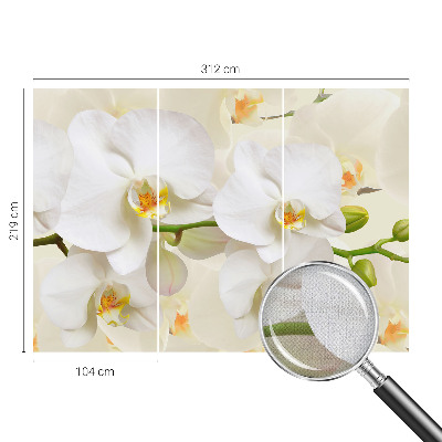 Papel de parede autocolante com estampa de riqueza floral