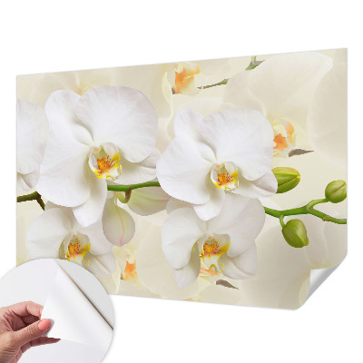 Papel de parede autocolante com estampa de riqueza floral