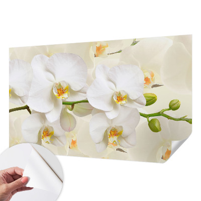 Papel de parede autocolante com estampa de riqueza floral