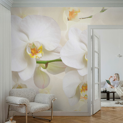 Papel de parede autocolante com estampa de riqueza floral