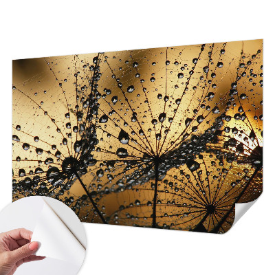 Papel de parede 3D com gotas delicadas