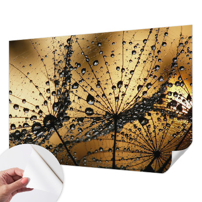 Papel de parede 3D com gotas delicadas