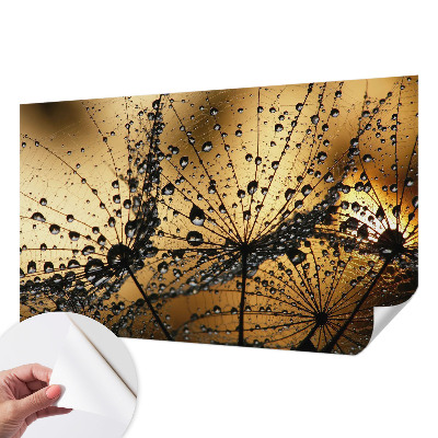 Papel de parede 3D com gotas delicadas