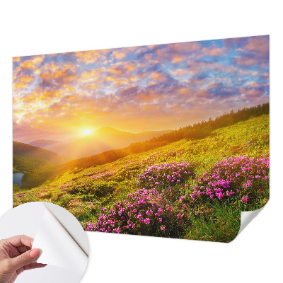 Papel de parede autocolante com padrão Oeste Montanhoso