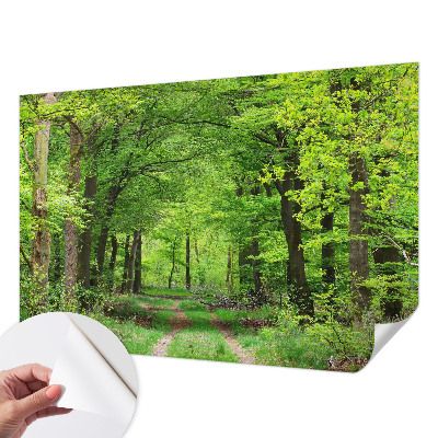 Papel de parede 3D com estampa de trilha na floresta