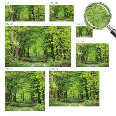 Papel de parede 3D Trilha na floresta