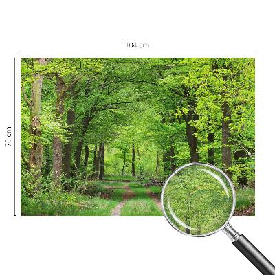 Papel de parede 3D Trilha na floresta