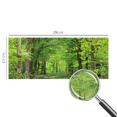 Papel de parede 3D com estampa de trilha na floresta