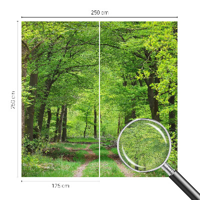 Papel de parede 3D Trilha na floresta