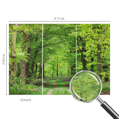 Papel de parede 3D com estampa de trilha na floresta