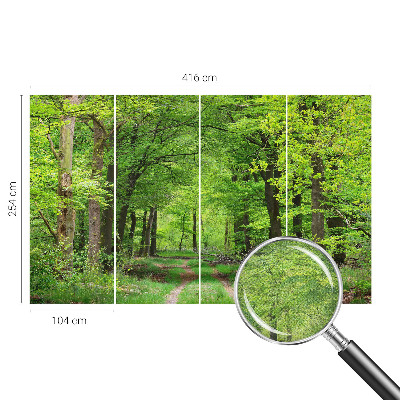Papel de parede 3D Trilha na floresta