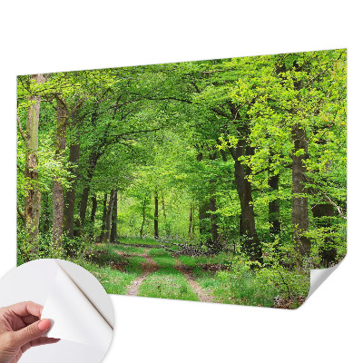 Papel de parede 3D com estampa de trilha na floresta