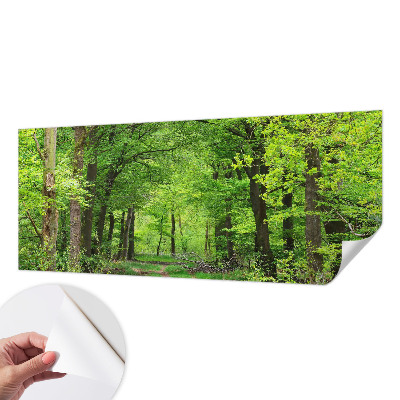 Papel de parede 3D com estampa de trilha na floresta