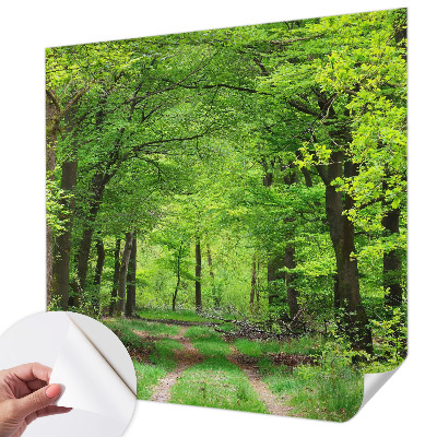 Papel de parede 3D Trilha na floresta