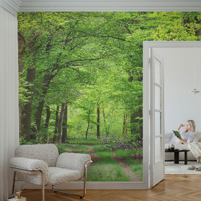 Papel de parede 3D Trilha na floresta