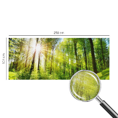 Papel de parede para criança Luz da floresta