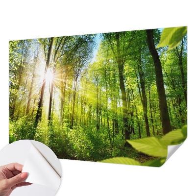 Papel de parede para criança com estampa Luz da Floresta