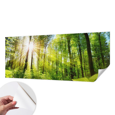 Papel de parede para criança com estampa Luz da Floresta