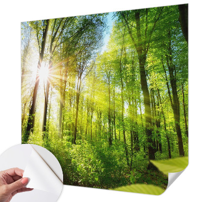 Papel de parede para criança Luz da floresta