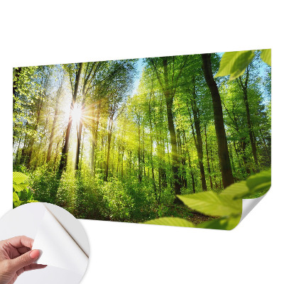 Papel de parede para criança com estampa Luz da Floresta