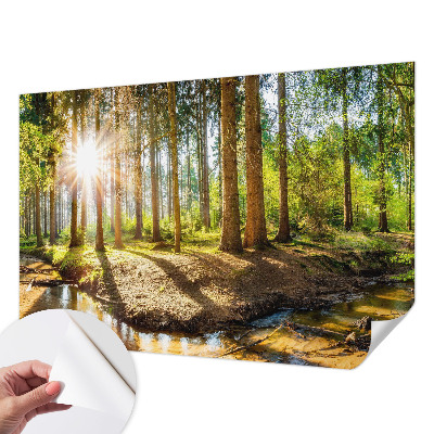 Papel de parede autocolante para sala com estampa 