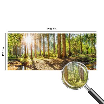 Papel de parede autocolante para sala Idílio na floresta