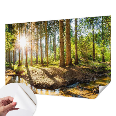 Papel de parede autocolante para sala Idílio na floresta