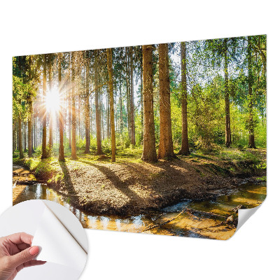 Papel de parede autocolante para sala Idílio na floresta