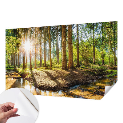 Papel de parede autocolante para sala Idílio na floresta