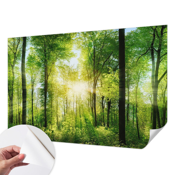 Papel de parede autocolante com estampa 'Harmonia da floresta'