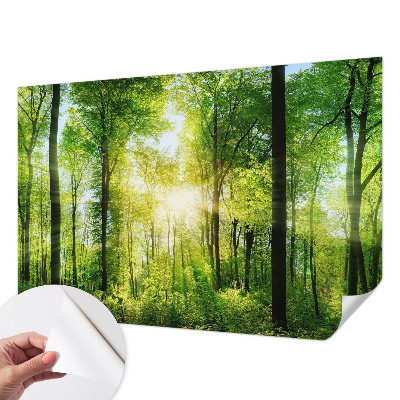Papel de parede autocolante com estampa 'Harmonia da floresta'