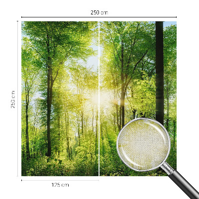 Papel de parede autocolante Harmonia da floresta