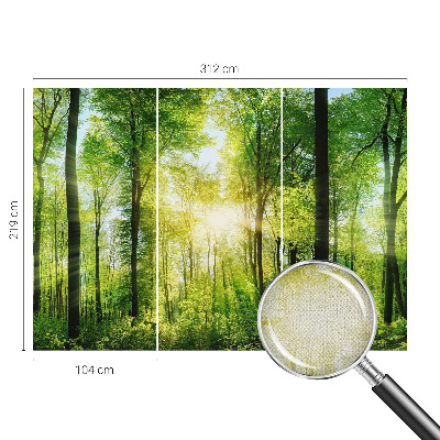 Papel de parede autocolante Harmonia da floresta