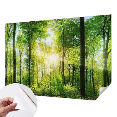Papel de parede autocolante com estampa 'Harmonia da floresta'