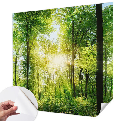 Papel de parede autocolante Harmonia da floresta