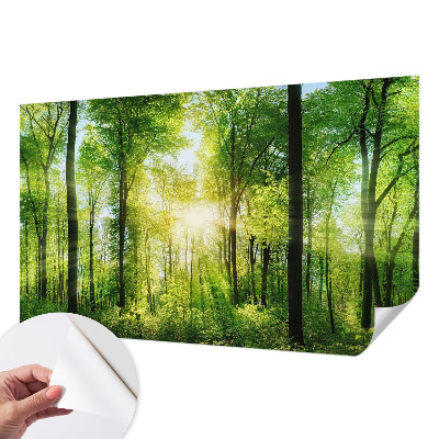 Papel de parede autocolante Harmonia da floresta