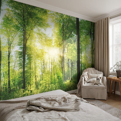 Papel de parede autocolante Harmonia da floresta