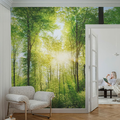 Papel de parede autocolante Harmonia da floresta