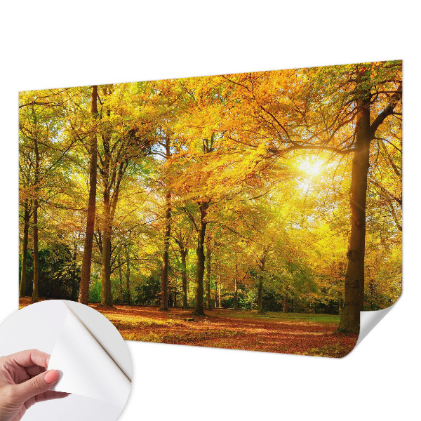 Papel de parede para criança Folhas douradas